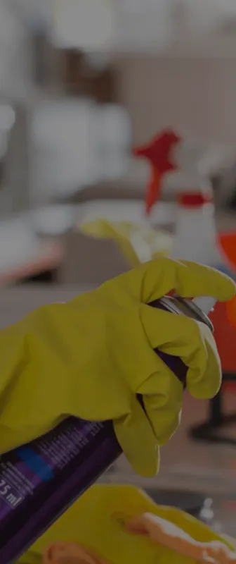Cleaners Available in Roxbury Crossing